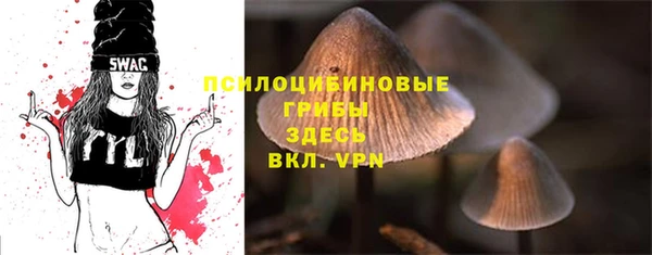 мдпв Верхнеуральск